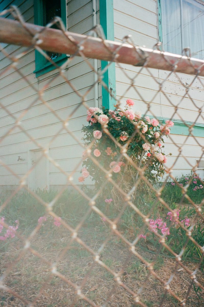 © Macayli Hausmann - Image from the Emotional Algorithm photography project