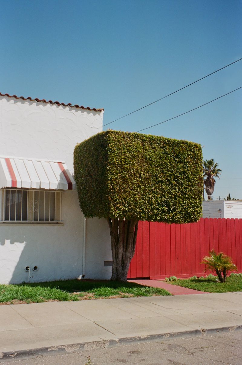 © Macayli Hausmann - Image from the Emotional Algorithm photography project