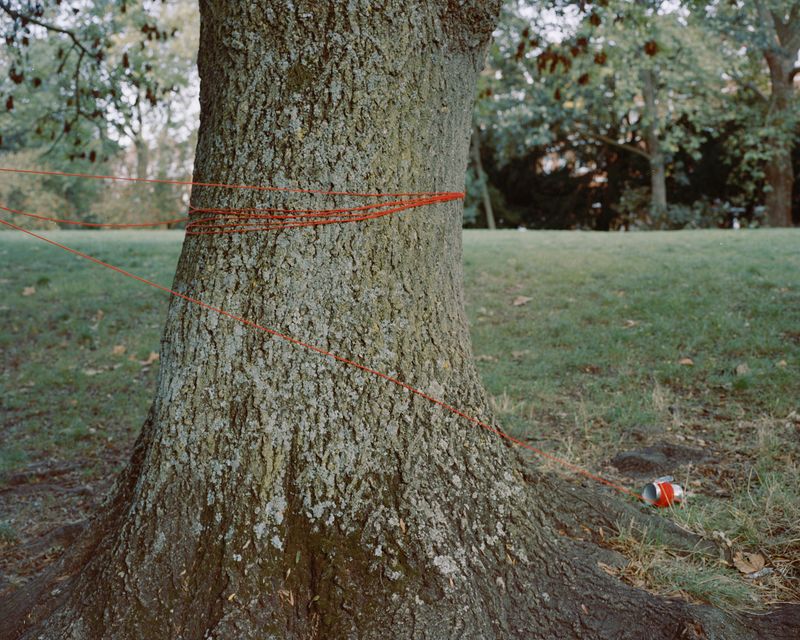 © Juno Joo - Bound to the tree, the red thread traces a fragile line of fate, suggesting a connection that exists somewhere beyond sight.