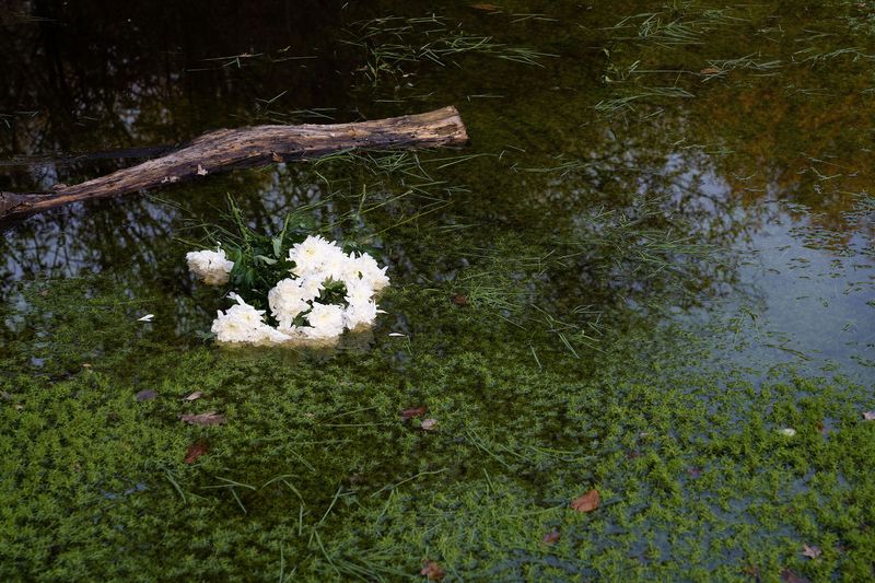 © Juno Joo - Image from the What a death made us do photography project