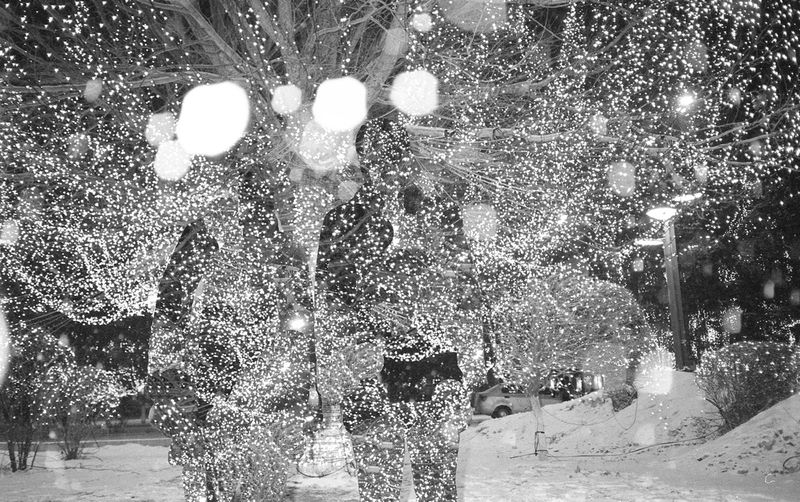 © XUE JIANG - Image from the Wonderland photography project
