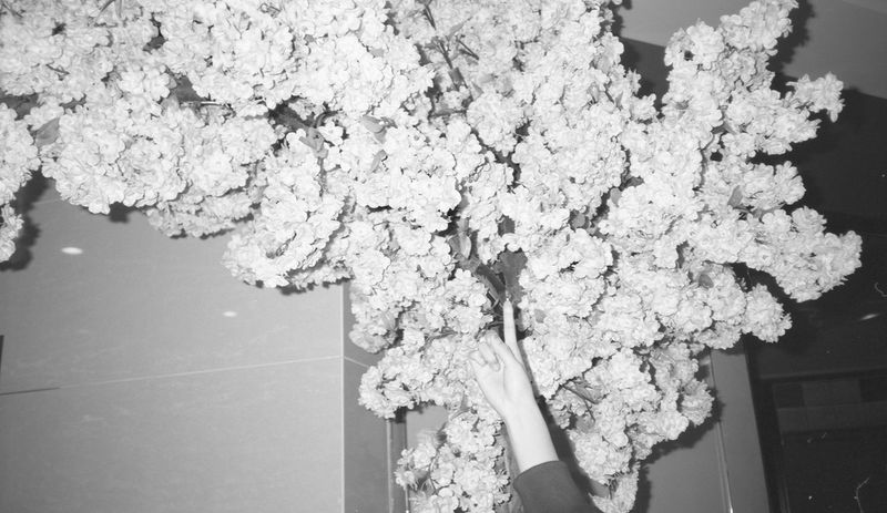 © XUE JIANG - Image from the Wonderland photography project