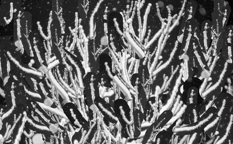 © XUE JIANG - Image from the Wonderland photography project
