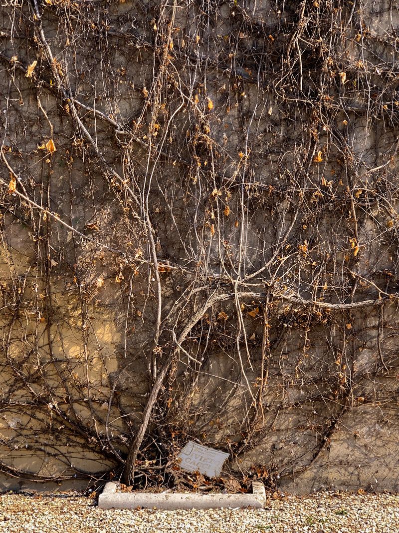 © Sara Camporesi - Image from the Vestīgĭum, -ĭi photography project