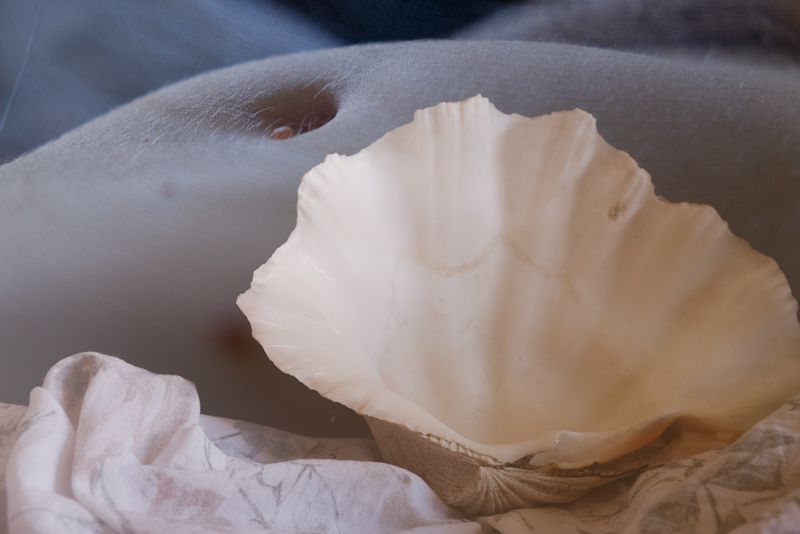 © Jamila Campagna - Image from the Matrilineare photography project