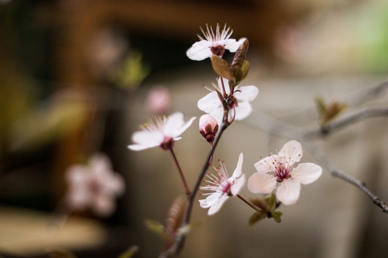 © Jamila Campagna - Image from the Ha fatto anche cose buone (It also did good things) photography project