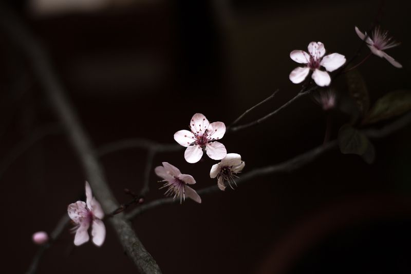 © Jamila Campagna - Image from the Ha fatto anche cose buone (It also did good things) photography project