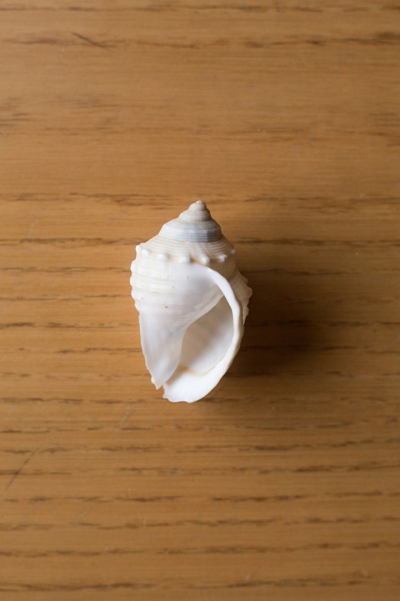 © Jamila Campagna - Image from the Ha fatto anche cose buone (It also did good things) photography project