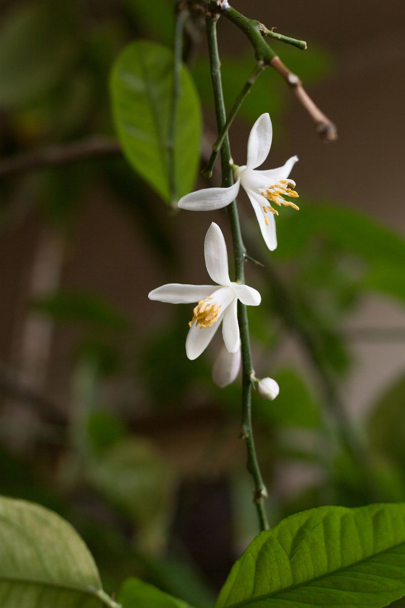 © Jamila Campagna - Image from the Ha fatto anche cose buone (It also did good things) photography project