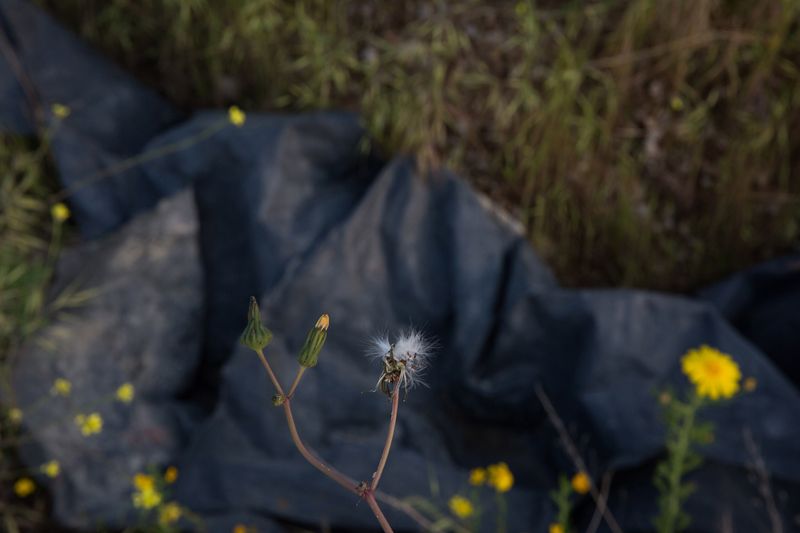 © Nadine Al Koudsi - Image from the Those Who Dance on the Staircase photography project