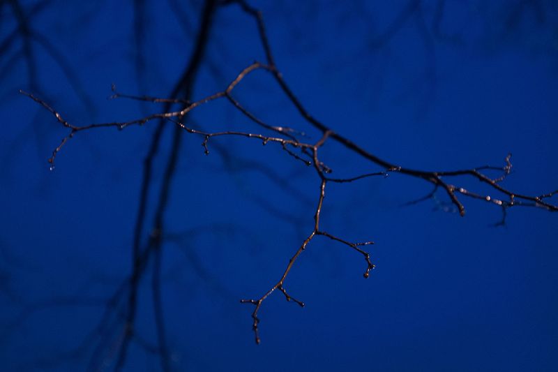 © Nadine Al Koudsi - Image from the In the Shadow of the Fig tree photography project