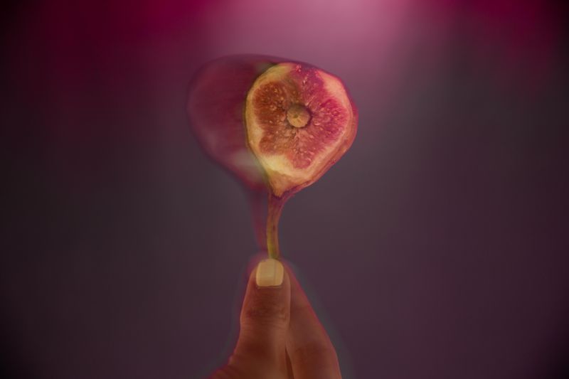 © Nadine Al Koudsi - Image from the In the Shadow of the Fig tree photography project