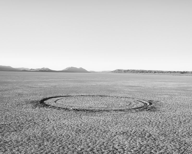 © Garrett Grove - Untitled (Spinning Brodies), 2016