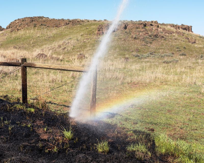 © Garrett Grove - Untitled (Controlled Burn), 2016