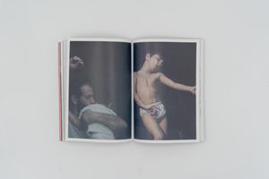 So far so good: On the language of the refugee application