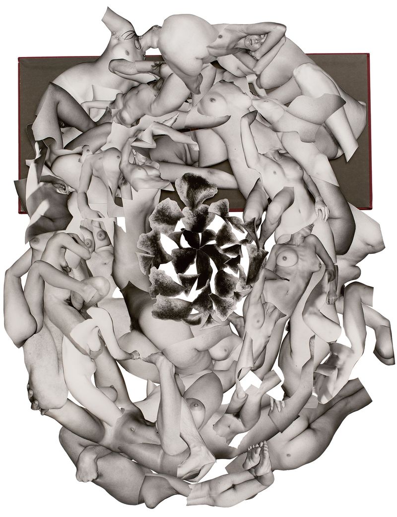 Justine Kurland And The Art of Cutting Up Men's Books