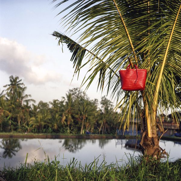 © Rosa Verhoeve, from the book Kopi Susu