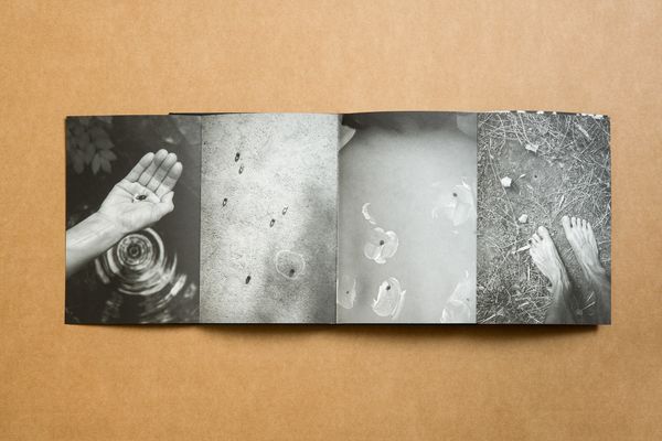 Photobook Review: Summer's Almost Gone By Alex Llovet