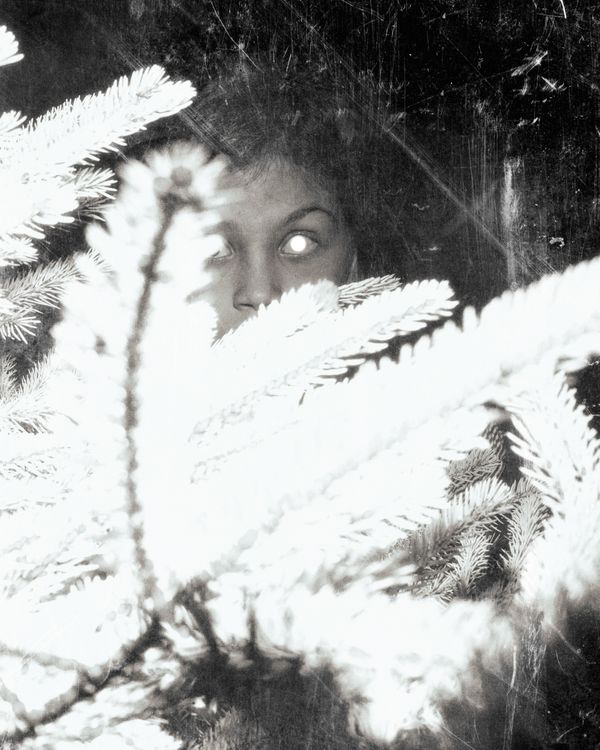 © Paul Thulin, from the book Pine Tree Ballads