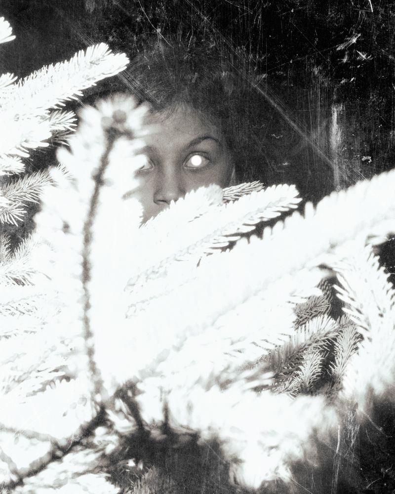 © Paul Thulin, from the book Pine Tree Ballads