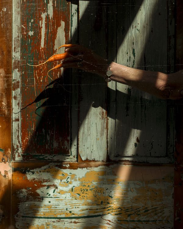 © Paul Thulin, from the book Pine Tree Ballads