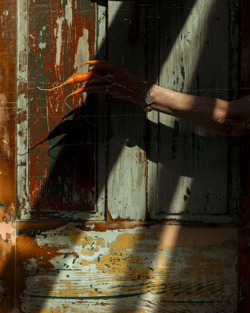 © Paul Thulin, from the book Pine Tree Ballads