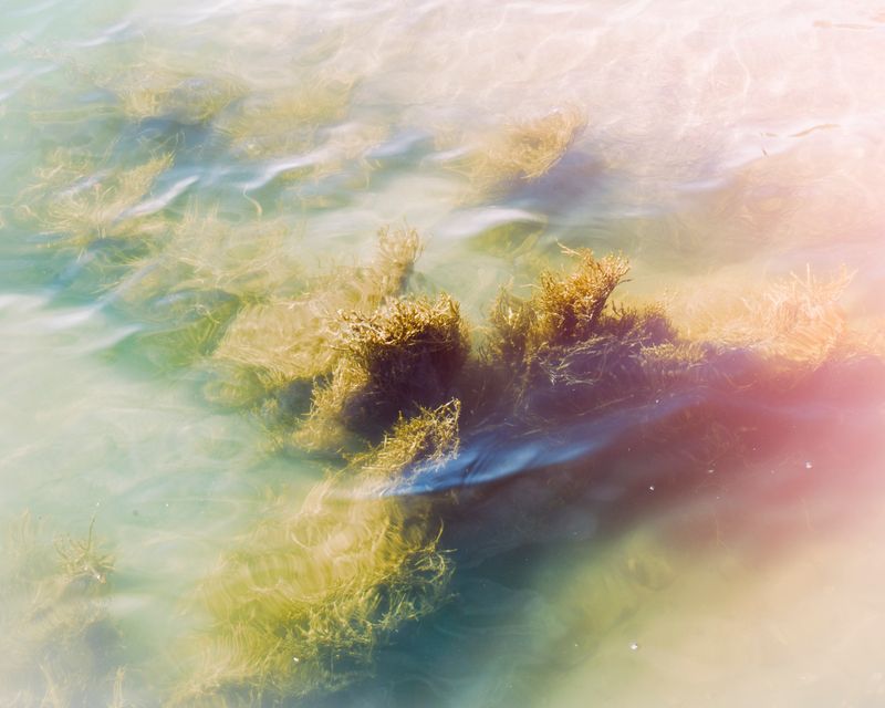 © Paul Thulin, from the book Pine Tree Ballads