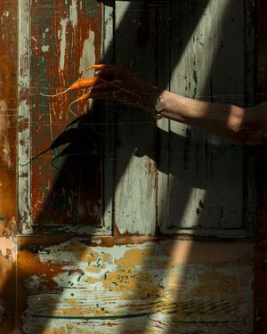 Living, Being, and Dying with the Pine Trees