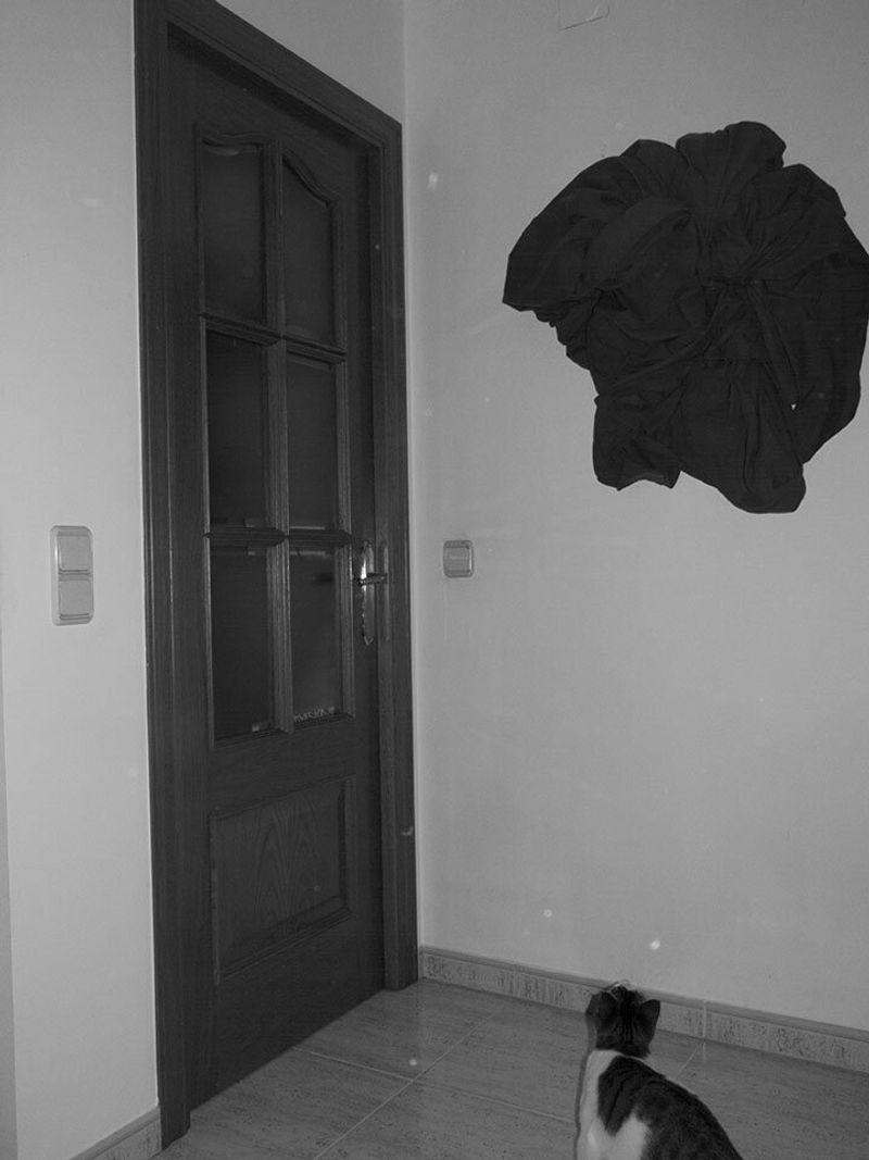 The Darkness of the Self, the Boltholes of our Minds