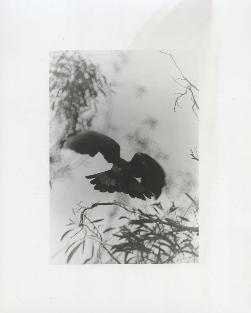 Death is not here. Death is everywhere