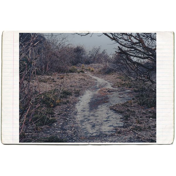 Photobook Review: Sorrow by Dawn Rodgers