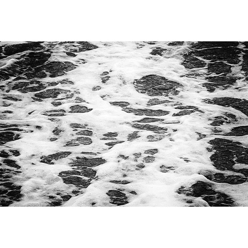 Photobook Review: Sorrow by Dawn Rodgers