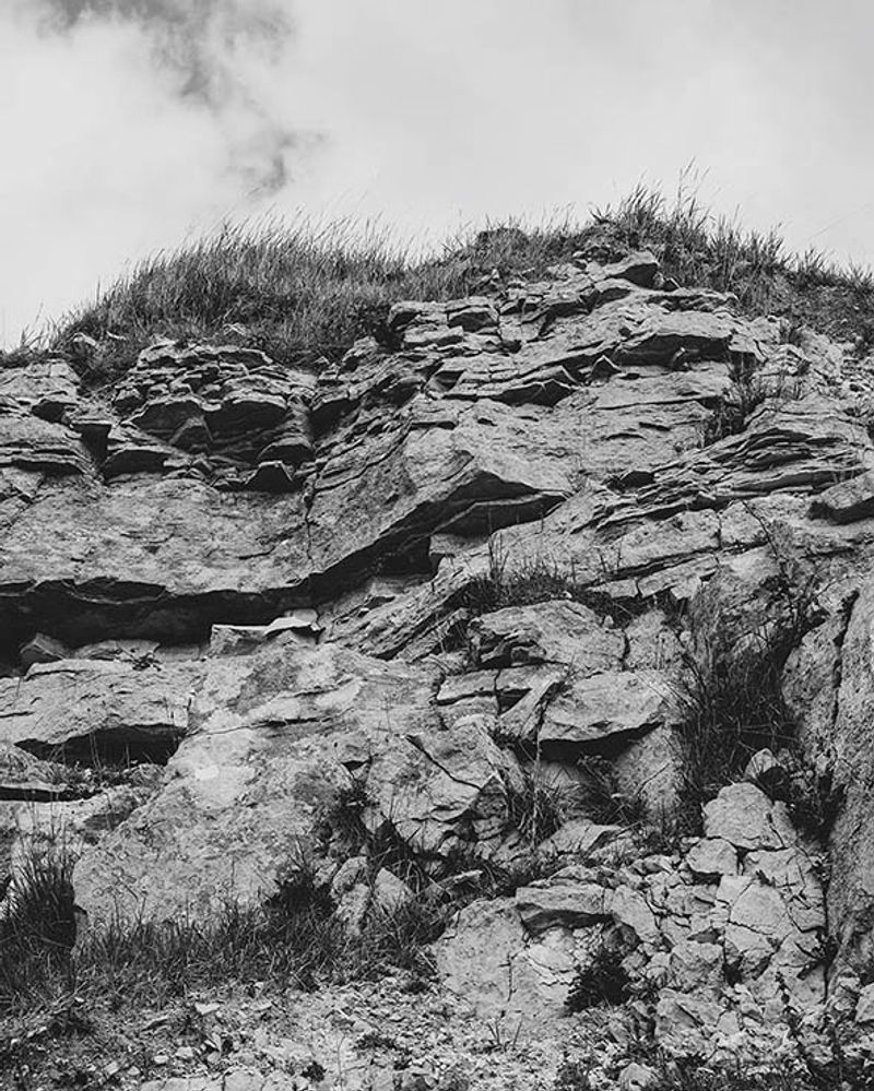 Photobook Review: Sorrow by Dawn Rodgers