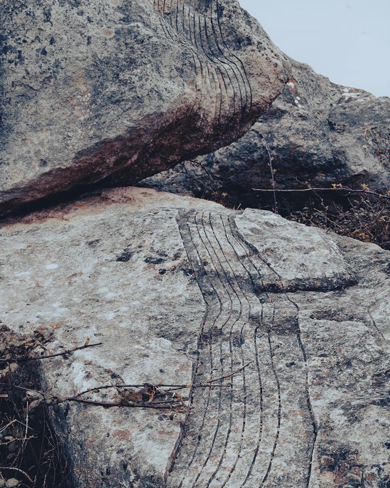 Photobook Review: Sorrow by Dawn Rodgers