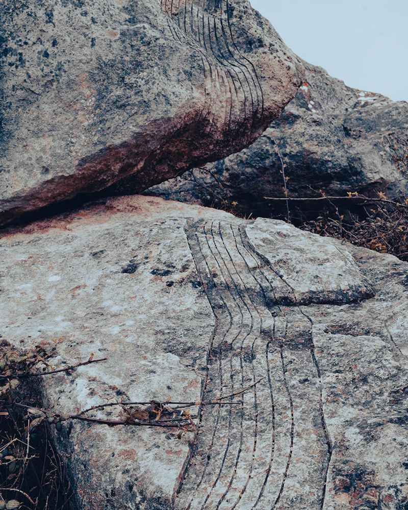 Photobook Review: Sorrow by Dawn Rodgers