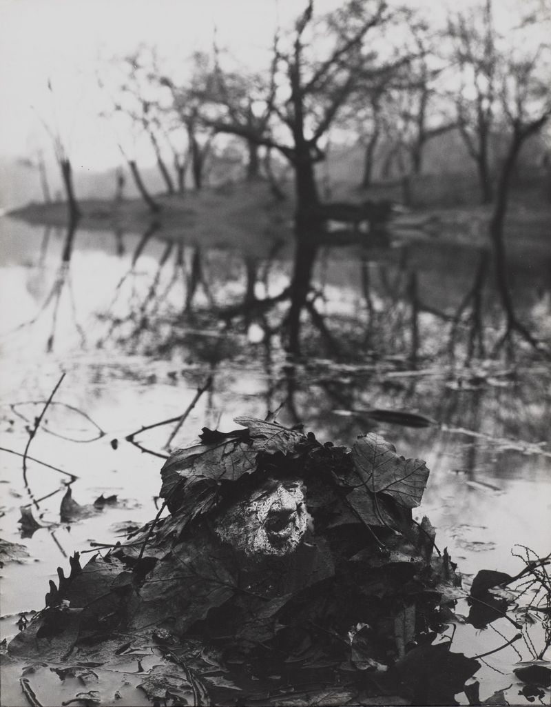 Wild Man Of The Forest, Central Park, New York, 1969