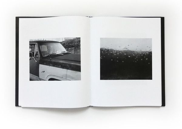 © Matthew Genitempo, spread from the book, Jasper
