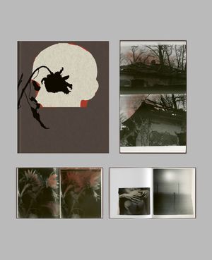 Photobook Review: Epitome by Vic Bakin