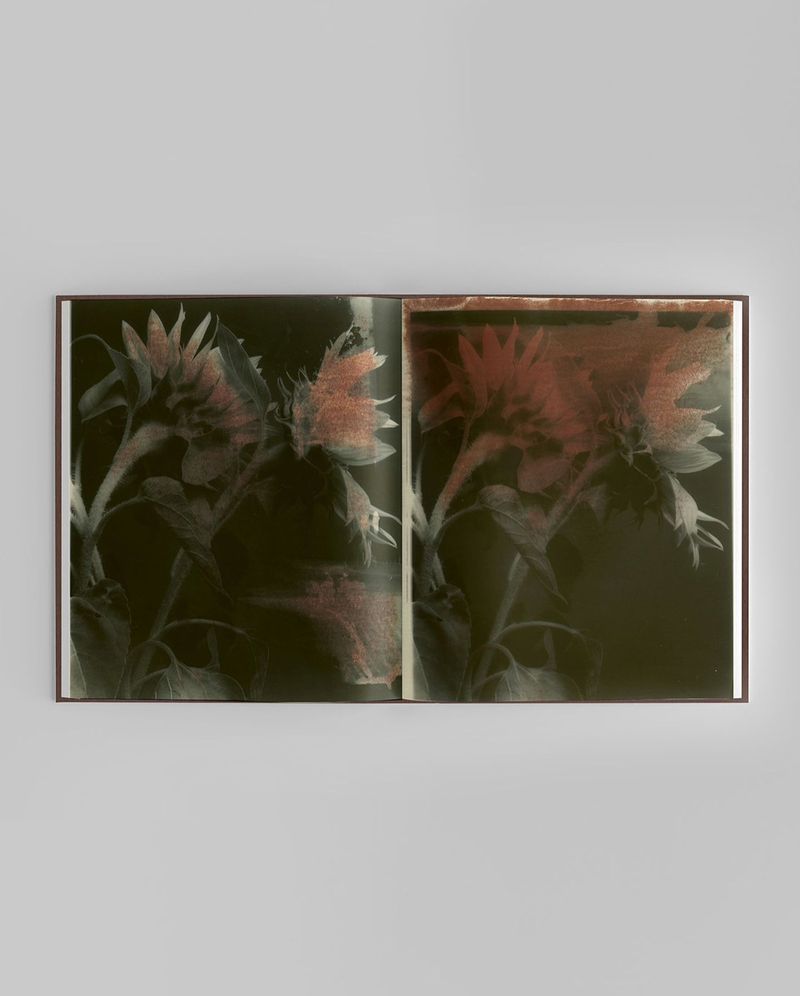 Photobook Review: Epitome by Vic Bakin