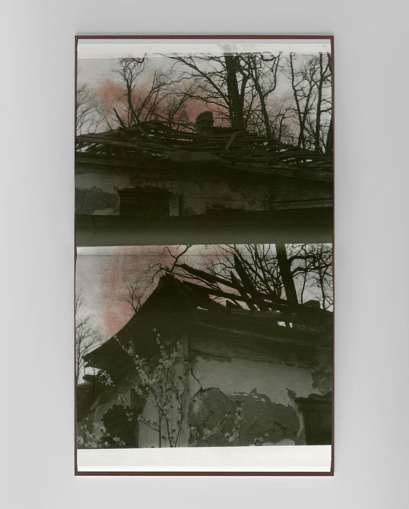 Photobook Review: Epitome by Vic Bakin