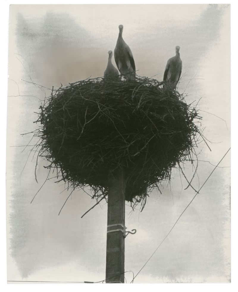 Photobook Review: Epitome by Vic Bakin