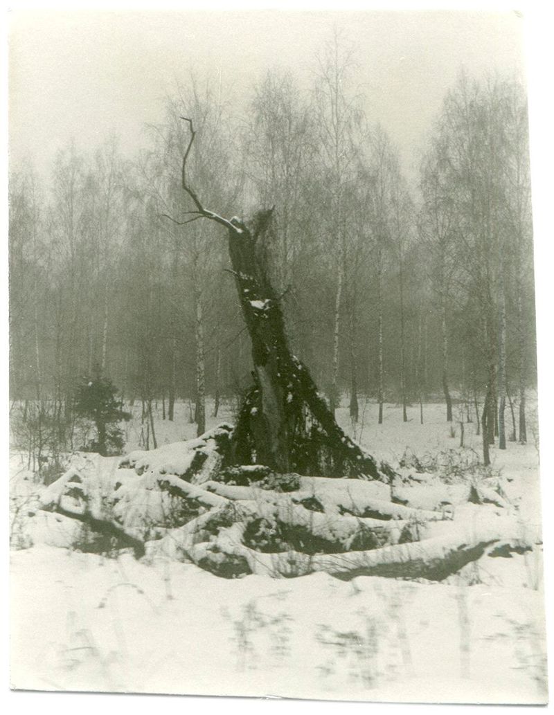 Photobook Review: Epitome by Vic Bakin