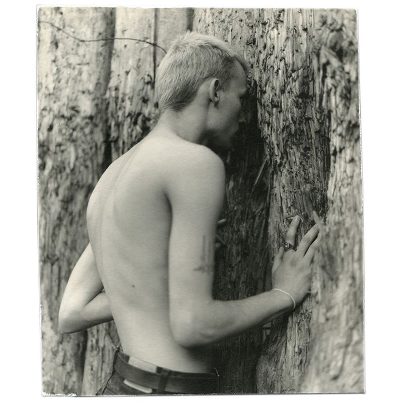 Deteriorated log wall as a bullet stopper, shot at an open-air shooting gallery in the middle of Trukhaniv woods.