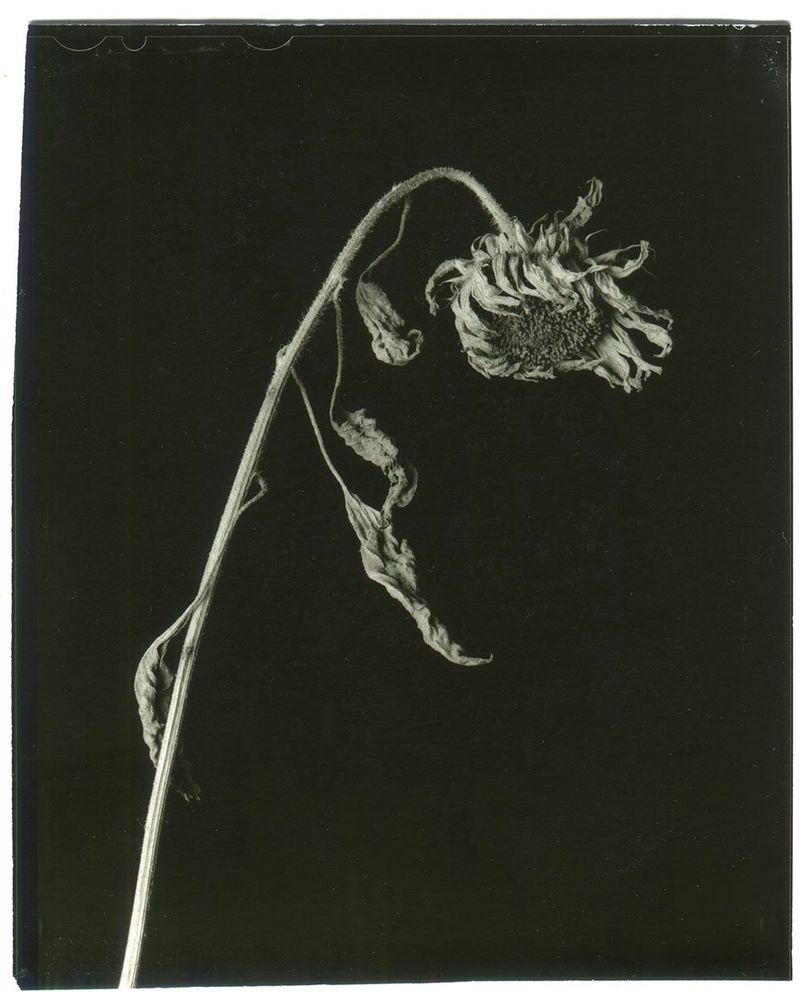 Photobook Review: Epitome by Vic Bakin