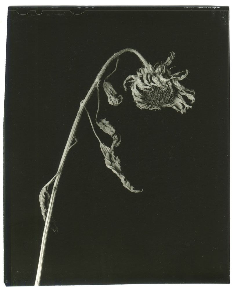 Photobook Review: Epitome by Vic Bakin