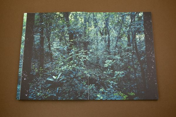 Photobook Review: Jejudo: Forbidden Forest by Hyung-Geun Park