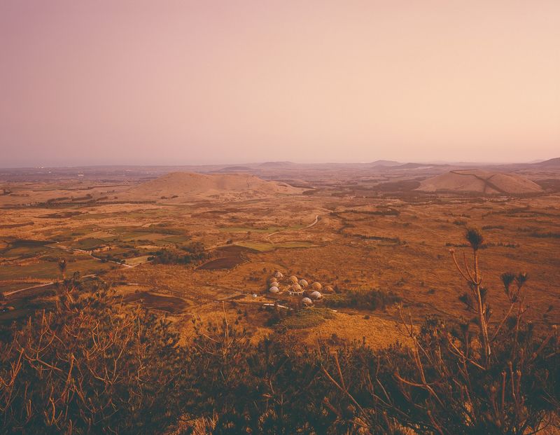 Photobook Review: Jejudo: Forbidden Forest by Hyung-Geun Park