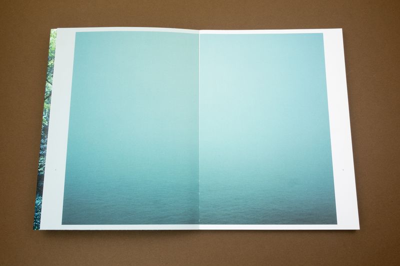 Photobook Review: Jejudo: Forbidden Forest by Hyung-Geun Park