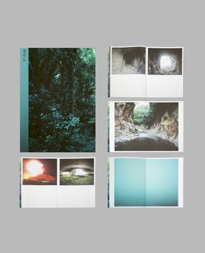 Photobook Review: Jejudo: Forbidden Forest by Hyung-Geun Park