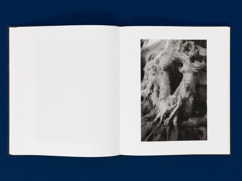 Photobook Review: Down By The Hudson by Caleb Stein